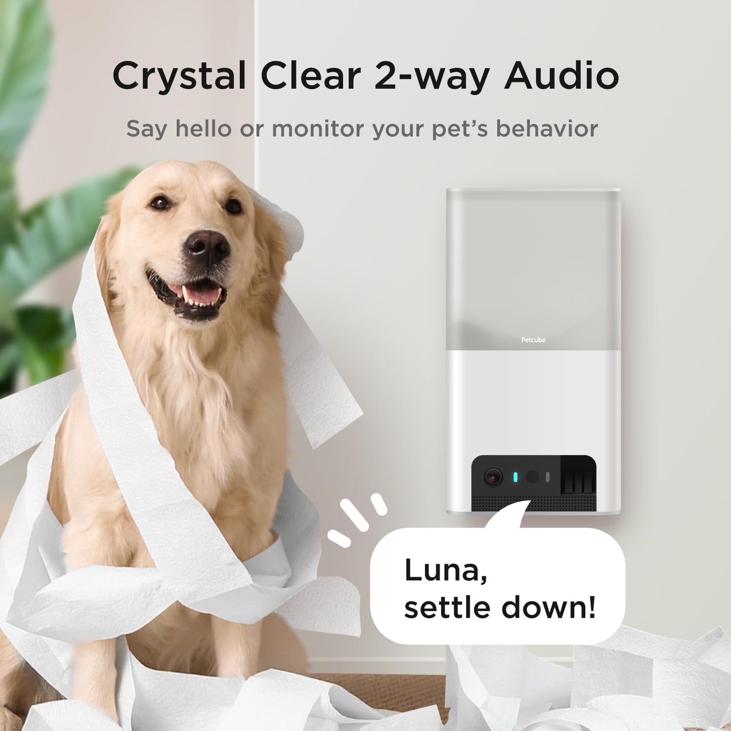 Interactive WiFi Pet Monitoring Camera 2-way audio