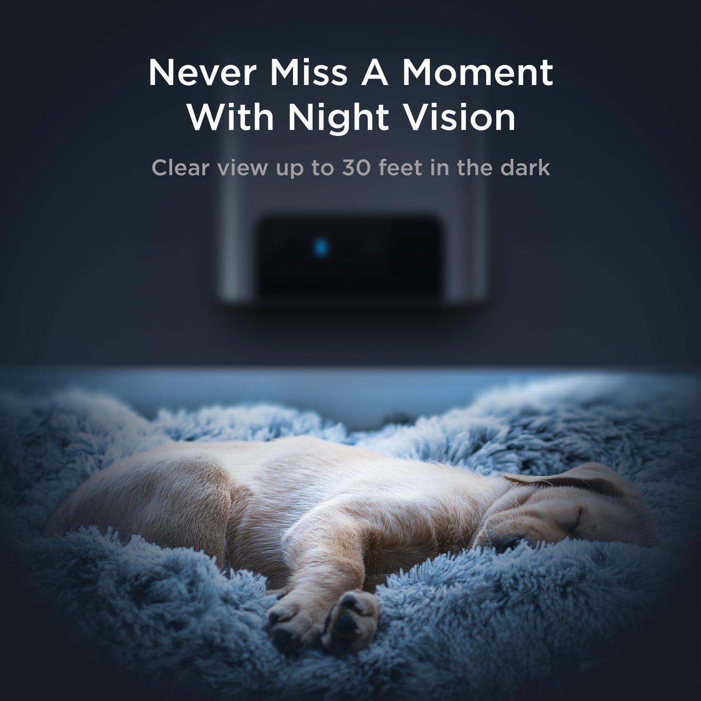 Interactive WiFi Pet Monitoring Camera Night Vision