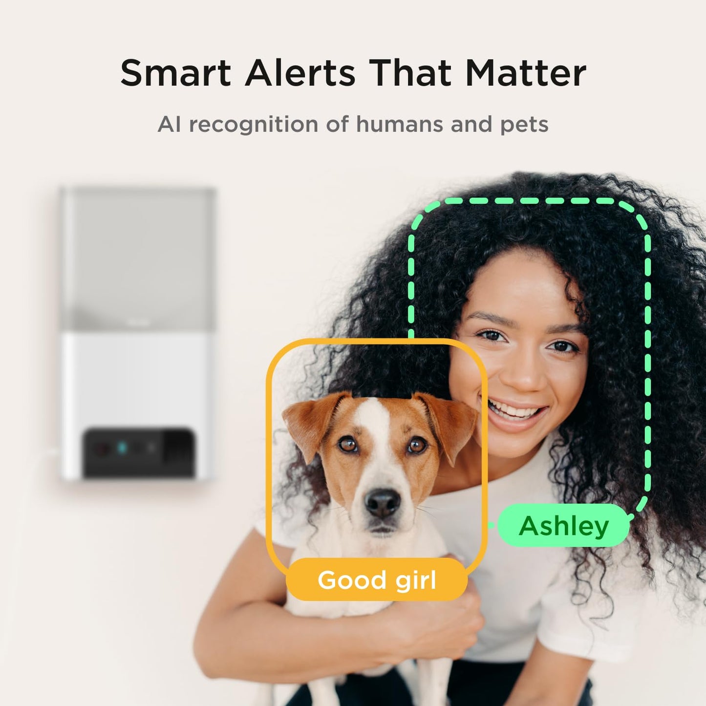 Interactive WiFi Pet Monitoring Camera smart alerts