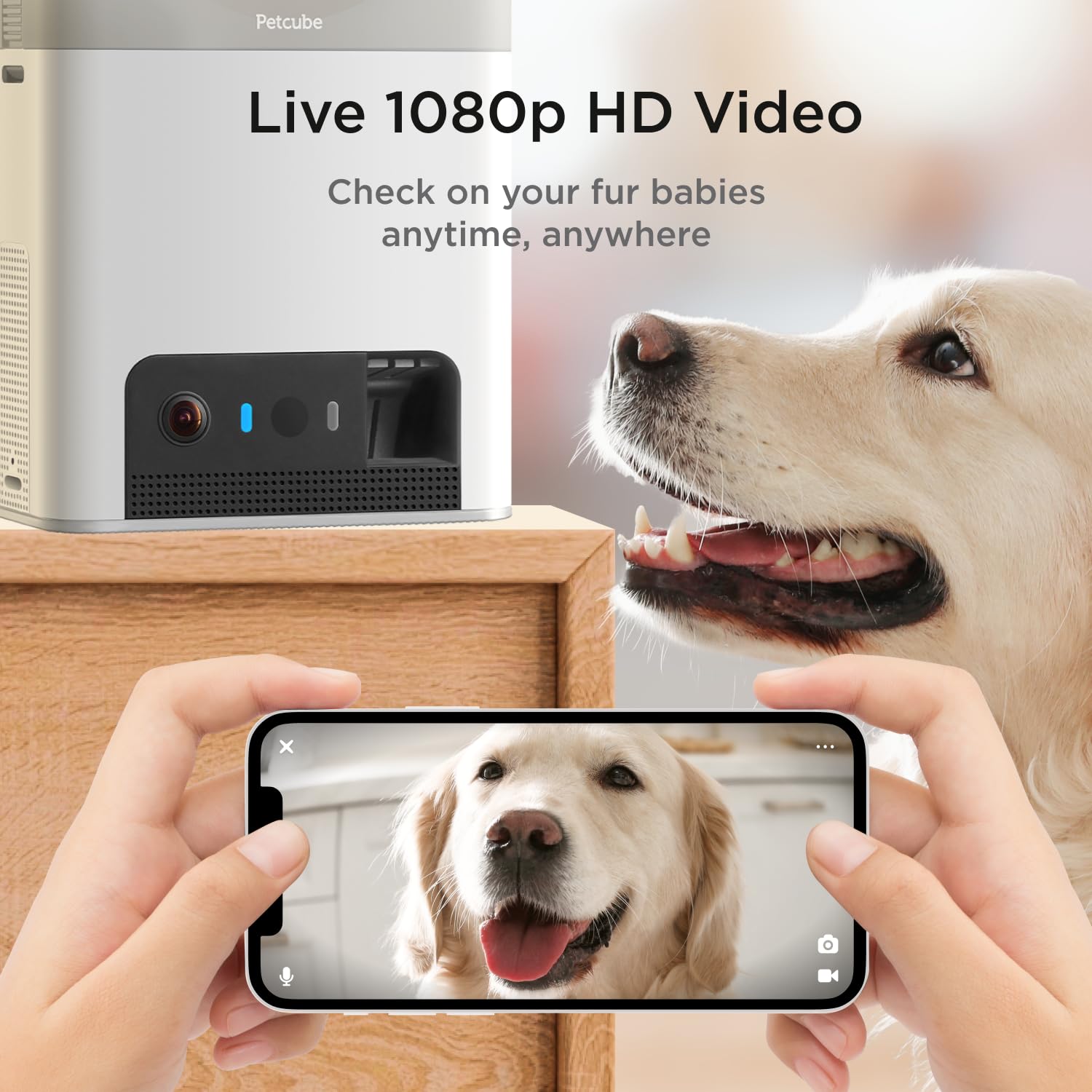 Interactive WiFi Pet Monitoring Camera 1080p video