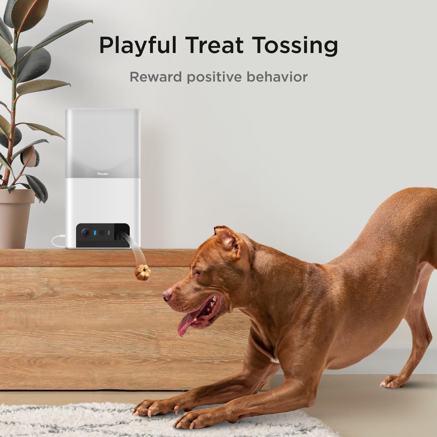 Interactive WiFi Pet Monitoring Camera playful treat tossing